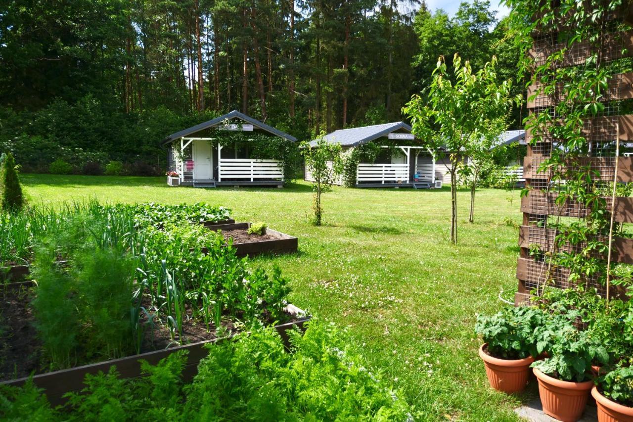 Villa Przylesie21 Stolpmünde Exterior foto